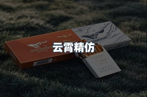 云霄精仿